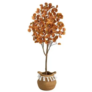 Fall Eucalyptus Tree in Woven Planter, 5 ft.